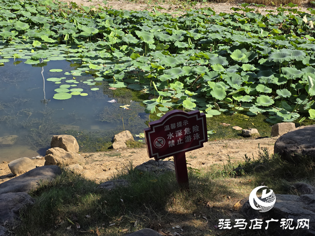 防溺水日：公園嚴(yán)禁游泳 共護(hù)生命安全