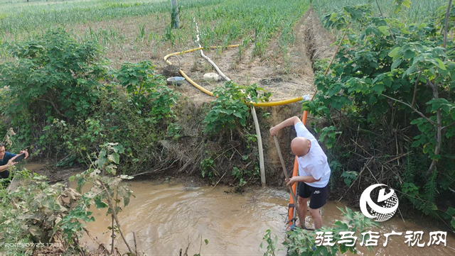 駐馬店廣播電視臺駐村工作隊疏通溝渠 抗旱保苗