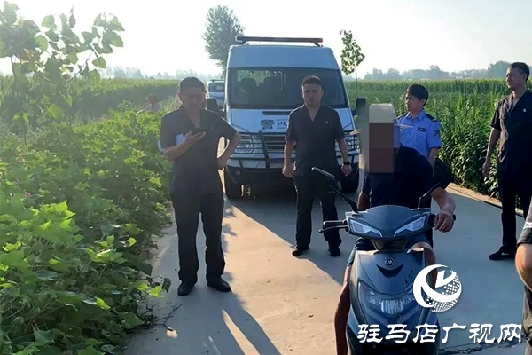 平輿縣人民法院：火力全開，不懼“烤”驗再出發(fā)！