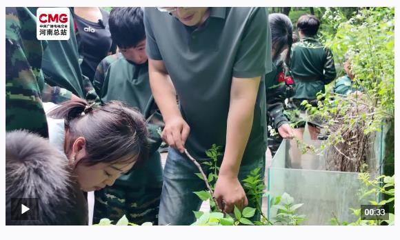 探索生態(tài)密碼 叢林里的“自然課堂”