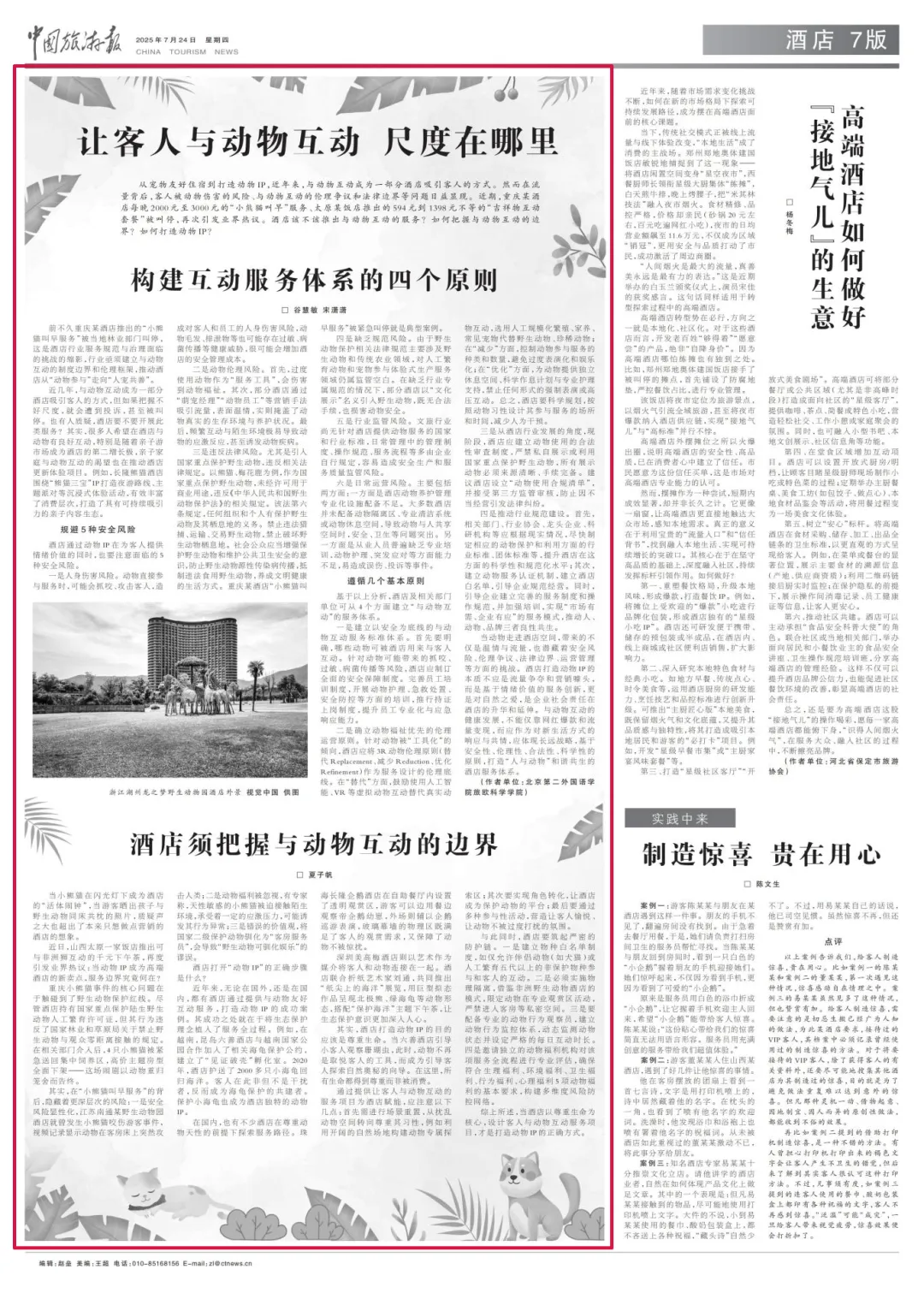 什么才是打造動(dòng)物IP的正確方式？