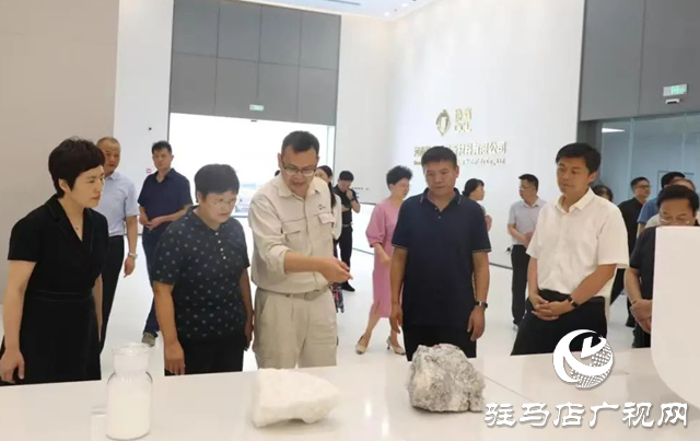 駐馬店職業(yè)技術(shù)學院校長宋華民帶隊開展“訪企拓崗”專項行動