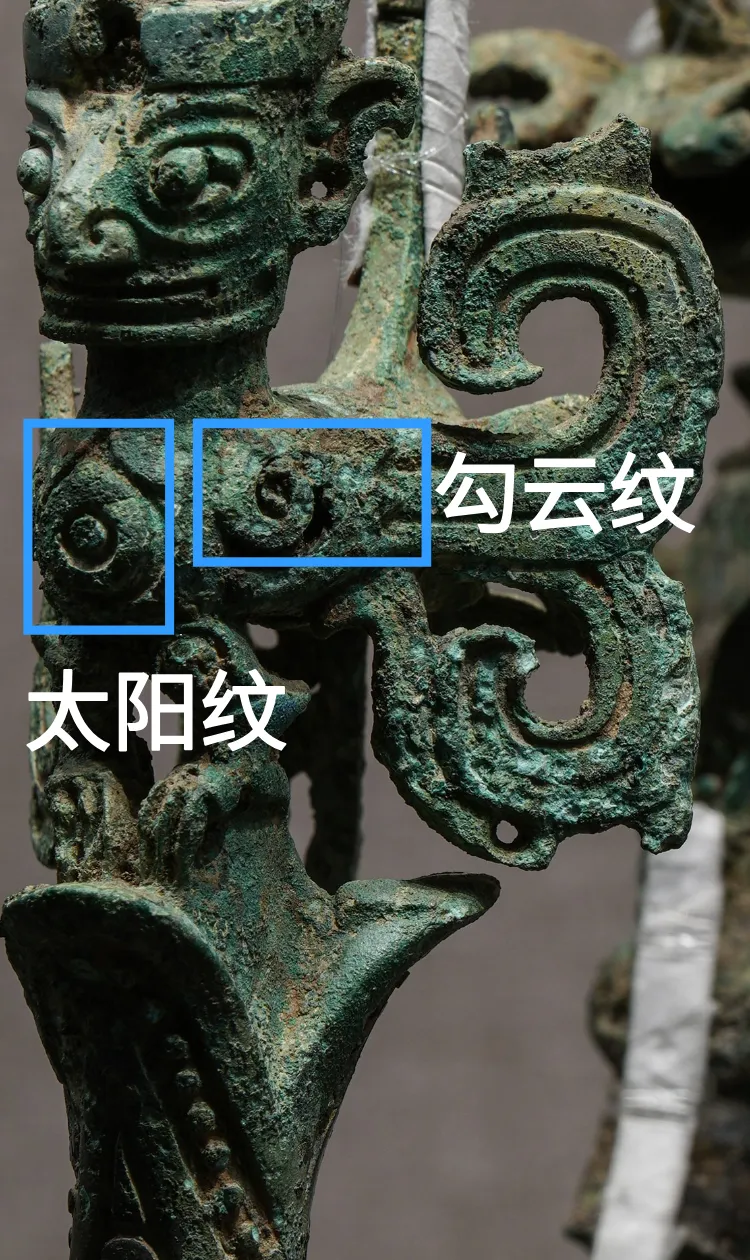 文博日歷丨神話故事里的“扶桑”樹(shù)找到了