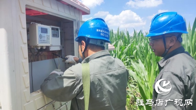 國網遂平縣供電公司：抗旱保供電 服務到田間