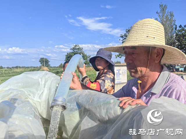 驛城區(qū)沙河店鎮(zhèn)：高溫抗旱保民生 臨時取水點解民憂