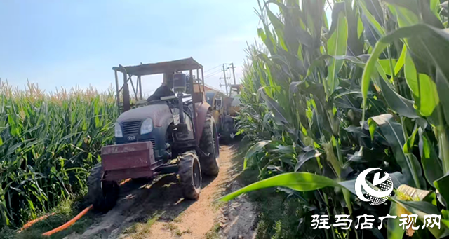 與時間賽跑！大余莊社區(qū)爭分奪秒修井保玉米灌溉