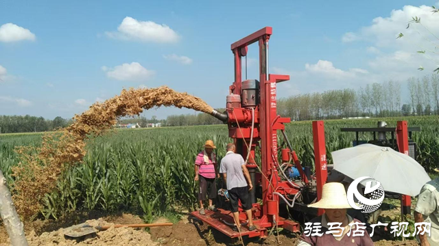 遂平縣玉山鎮(zhèn)：多點發(fā)力抗旱保秋 筑牢糧食安全防線