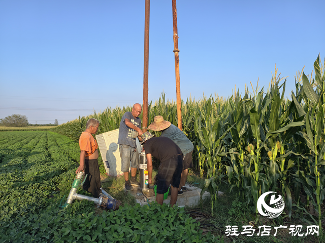 與時間賽跑！大余莊社區(qū)爭分奪秒修井保玉米灌溉