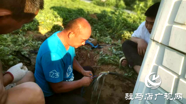 平輿縣辛店鄉(xiāng)：志愿先鋒沖在前 抗旱保收護民生