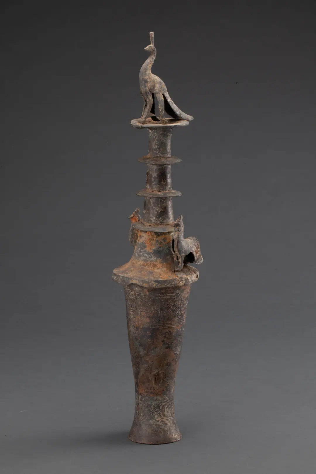 華美端莊，2000多年前它就是“百鳥之王”