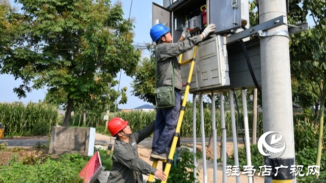 國網(wǎng)確山縣供電公司：汗水鑄就“強電網(wǎng)”  守護秋糧“生命線”
