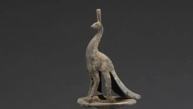 華美端莊，2000多年前它就是“百鳥之王”