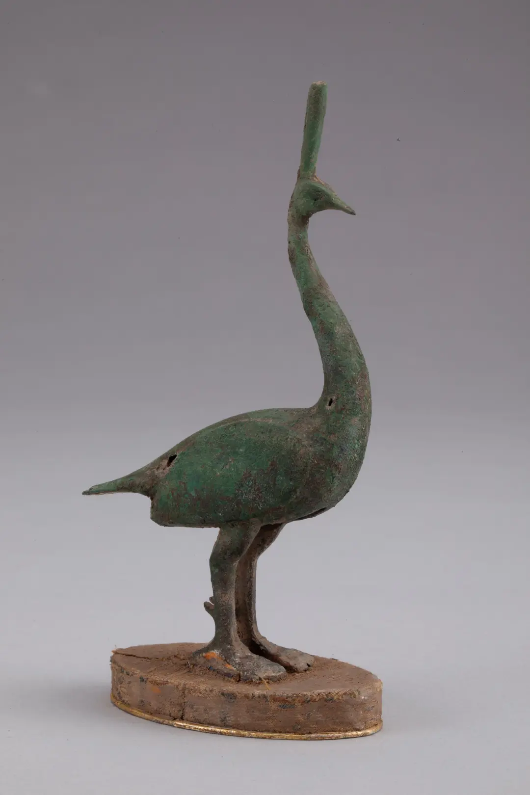 華美端莊，2000多年前它就是“百鳥之王”