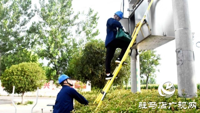 國網(wǎng)平輿縣供電公司：多措并舉護(hù)農(nóng)耕 抗旱保電潤心田