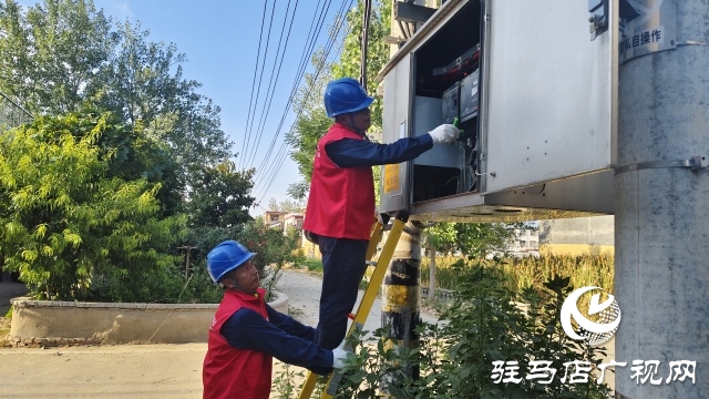 國網(wǎng)新蔡縣供電公司：精細(xì)排查筑根基 抗旱保秋顯實(shí)效