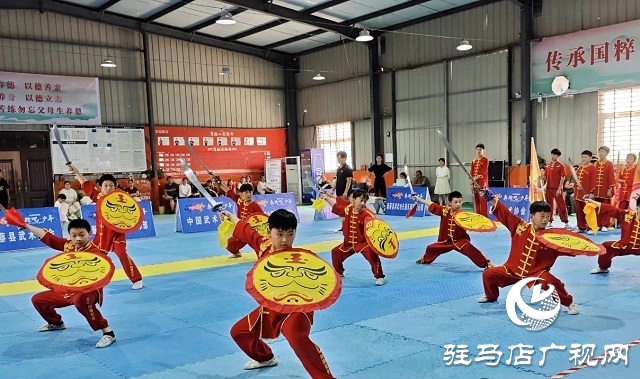 2025年新蔡縣“全民健身日”主題活動(dòng)暨“奔跑吧·少年”武術(shù)交流大賽開(kāi)幕