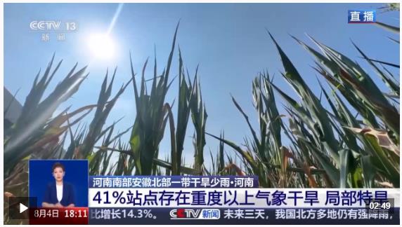 “地下地上”雙線抗旱 豫東豫南多舉措保障農(nóng)業(yè)生產(chǎn)