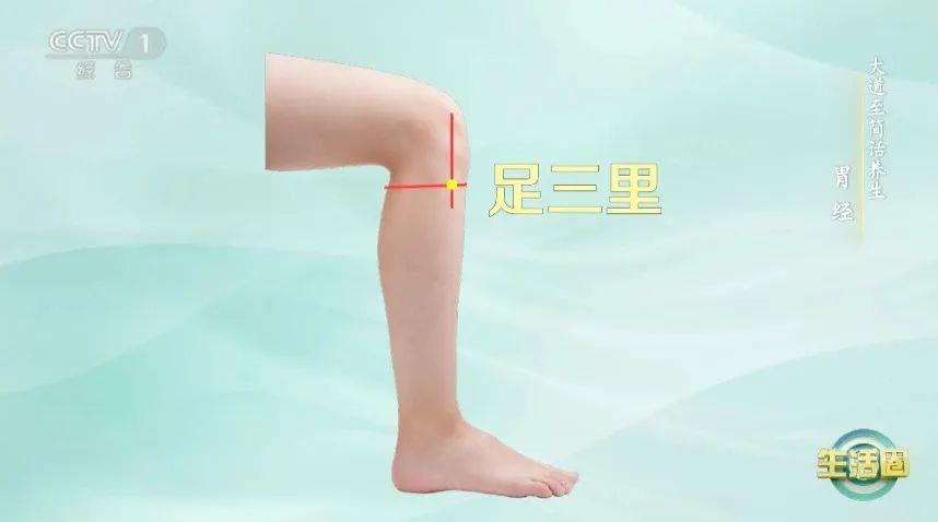 立秋如何養(yǎng)肺？怎么吃更健康？換季養(yǎng)生小貼士請(qǐng)查收