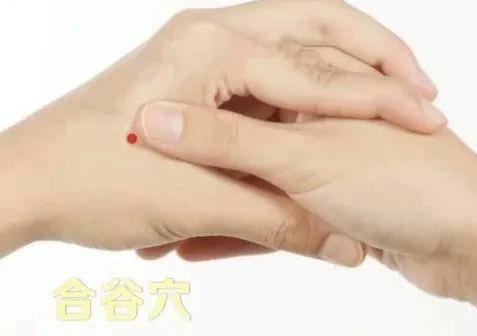 立秋如何養(yǎng)肺？怎么吃更健康？換季養(yǎng)生小貼士請(qǐng)查收
