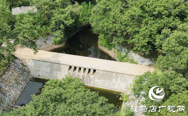 驛城區(qū)老河鄉(xiāng)：百年古栗園 繪就生態(tài)畫卷