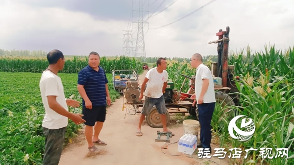 平輿縣陽城鎮(zhèn)：黨群同心戰(zhàn)旱情 實干擔(dān)當(dāng)保秋收