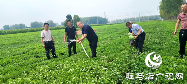平輿縣中等職業(yè)學(xué)校助力“抗旱保秋”，守護(hù)群眾“糧袋子”