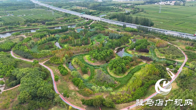 天中濕地植物園：從污水凈化到詩(shī)意棲居 勾勒生態(tài)新圖景