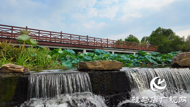 天中濕地植物園：從污水凈化到詩(shī)意棲居 勾勒生態(tài)新圖景