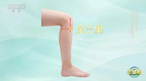 立秋如何養(yǎng)肺？怎么吃更健康？換季養(yǎng)生小貼士請查收