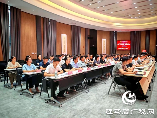 平輿東皇街道：以實干為筆 以擔(dān)當(dāng)為墨 書寫黨建引領(lǐng)新篇章