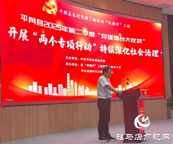平輿東皇街道：以實干為筆 以擔(dān)當(dāng)為墨 書寫黨建引領(lǐng)新篇章