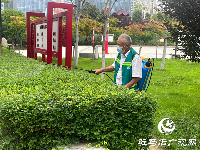 駐馬店市區(qū)白粉虱活躍引關(guān)注 園林部門加強(qiáng)防治提醒市民防護(hù)