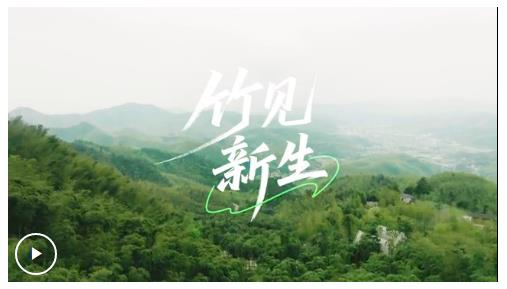 微視頻丨竹見新生