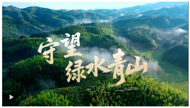 微視頻｜守望綠水青山