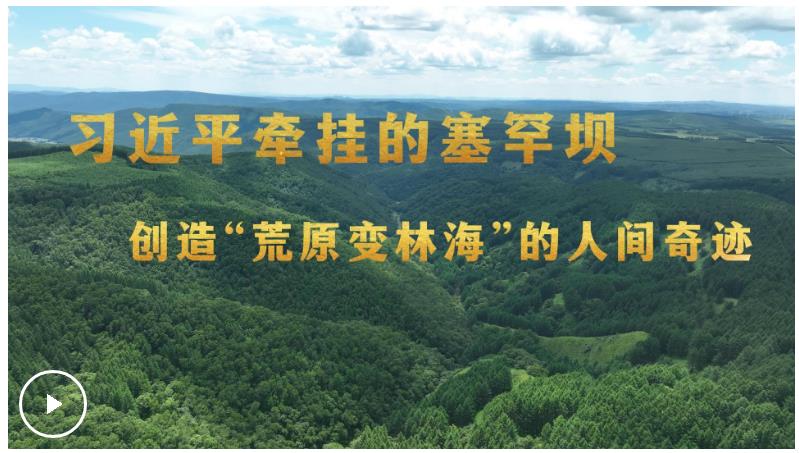習近平牽掛的塞罕壩 創(chuàng)造“荒原變林海”的人間奇跡