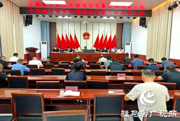 平輿縣十字路鄉(xiāng)：環(huán)境整治三步走，擦亮文明新底色
