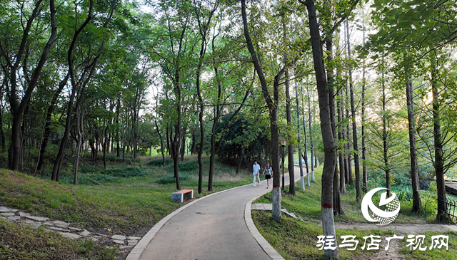 驛城區(qū)：城市公園讓市民共享美好生活