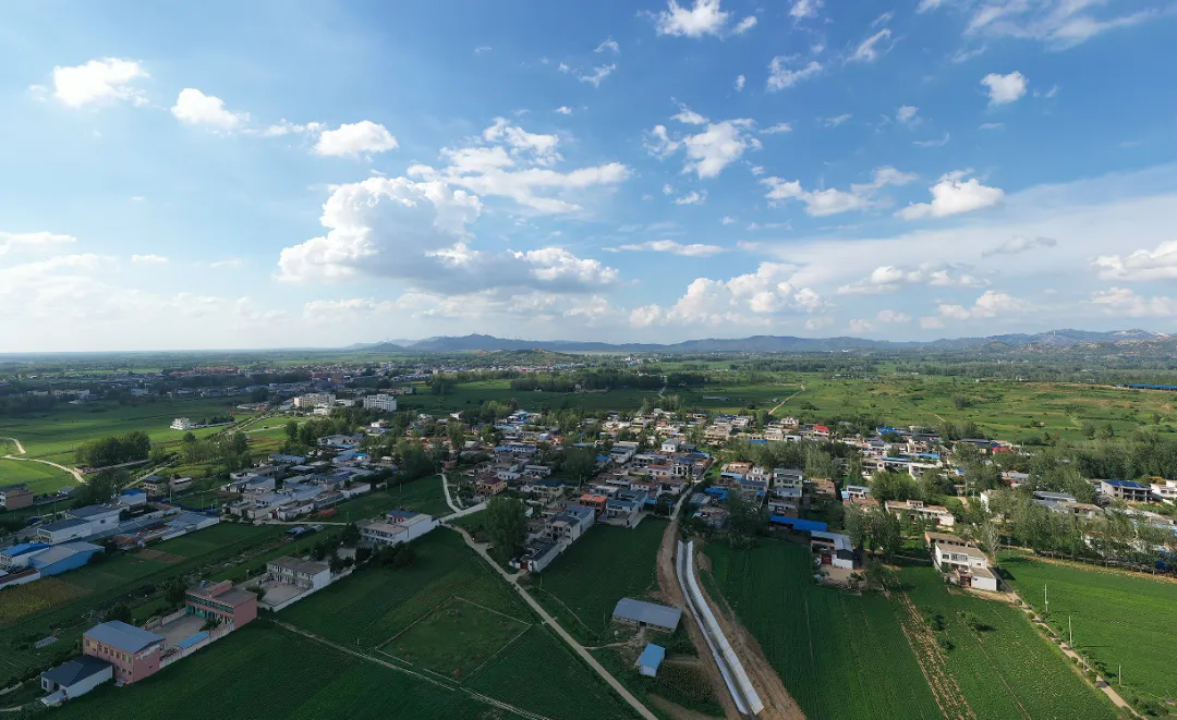 縣區(qū)動態(tài) | 田園盛景 羊冊風光