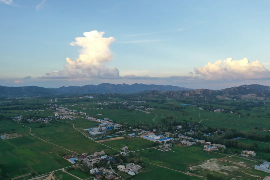 縣區(qū)動態(tài) | 田園盛景 羊冊風光