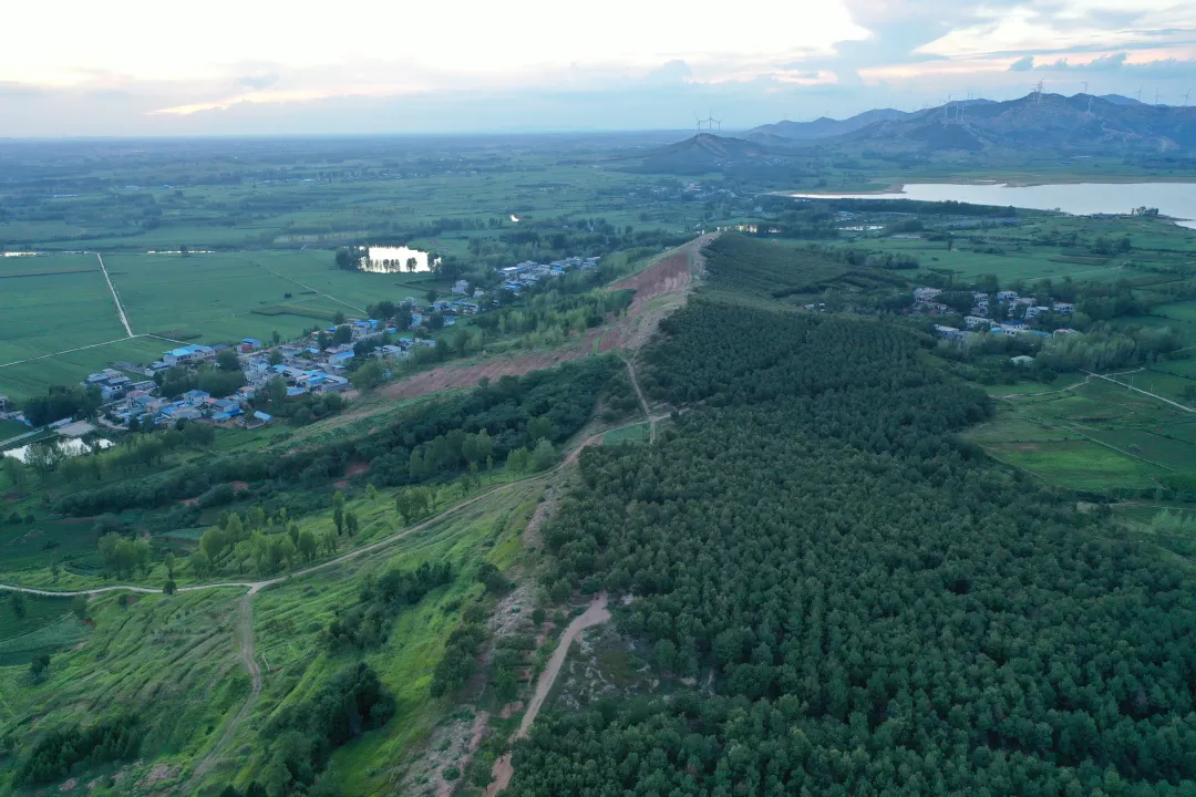 縣區(qū)動態(tài) | 田園盛景 羊冊風光