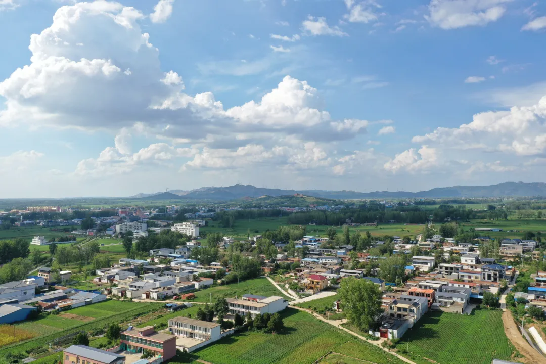 縣區(qū)動態(tài) | 田園盛景 羊冊風光