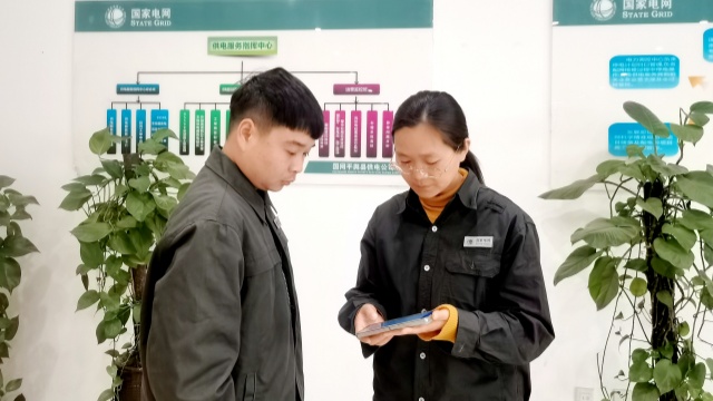 國(guó)網(wǎng)平輿縣供電公司：數(shù)智賦能 提升電力服務(wù)溫度