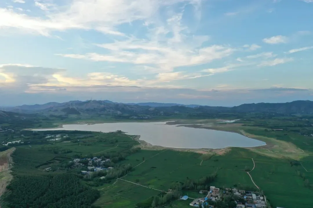 縣區(qū)動態(tài) | 田園盛景 羊冊風光