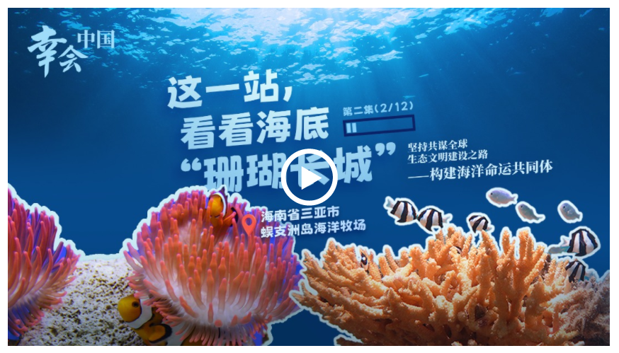 幸會(huì)中國 | 守護(hù)珊瑚之美，共筑“海洋命運(yùn)共同體”