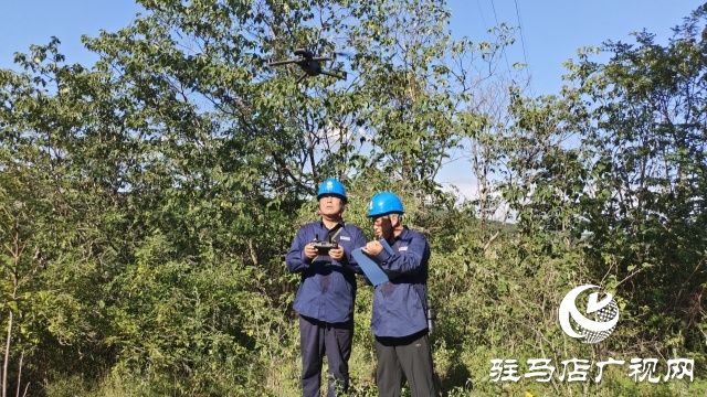 國(guó)網(wǎng)確山縣供電公司：奮戰(zhàn)“秋老虎”，織密“清涼網(wǎng)”