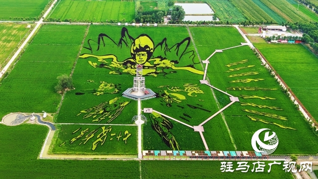 “稻夢田園·活力鄉(xiāng)村”體育嘉年華將在確山留莊稻田公園開啟
