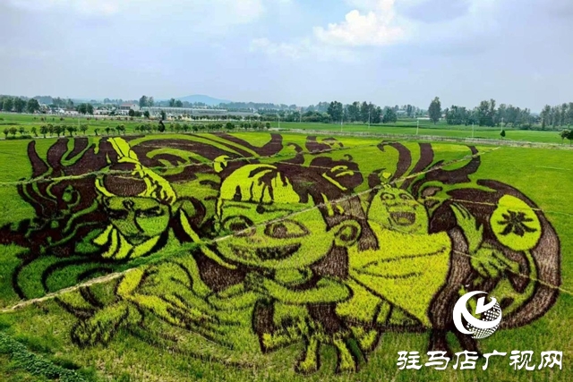 “稻夢田園·活力鄉(xiāng)村”體育嘉年華將在確山留莊稻田公園開啟