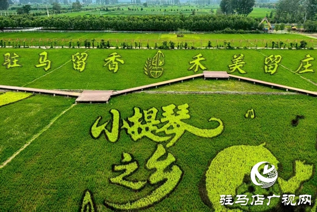 “稻夢田園·活力鄉(xiāng)村”體育嘉年華將在確山留莊稻田公園開啟