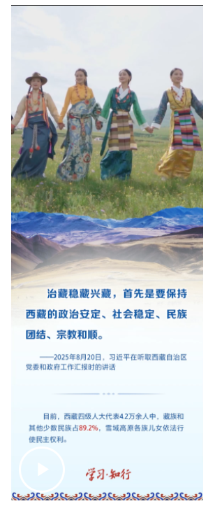 學習·知行丨雪域高原譜新篇 習近平強調抓好“四件大事”