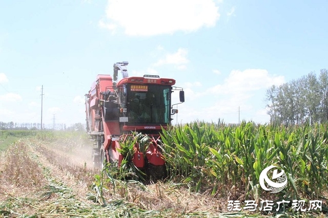  新蔡李橋：秸稈“變身”優(yōu)質飼料 綠色產(chǎn)業(yè)賦能鄉(xiāng)村振興